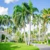 Resort Grand Bavaro Princess 5*