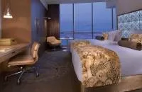 Deluxe Club -Level 45