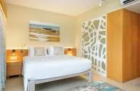 Superior Room - Forest Facing