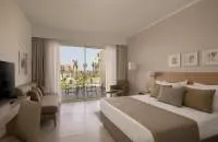 Superior Double room with pool view 