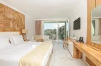 Double Superior Room (MountainView)