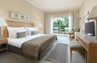 Superior Double room with pool view