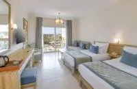 Superior Twin room with pool view